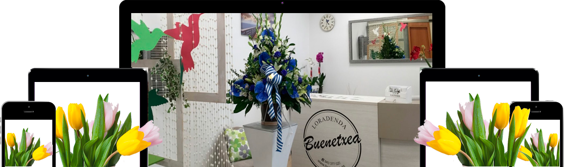 Instalaciones Floristeria Buenetxea